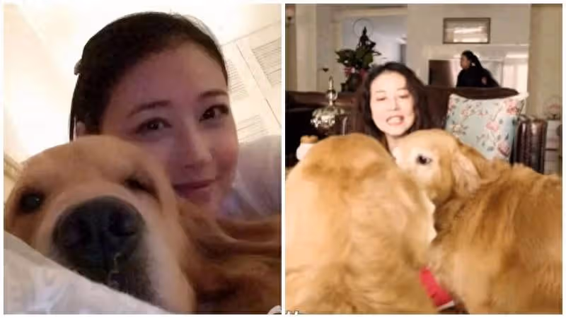周海媚離世一周年!兩隻愛犬團聚,李勤勤帶去北京墓園拜祭太催淚