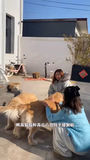 周海媚離世一周年!兩隻愛犬團聚,李勤勤帶去北京墓園拜祭太催淚