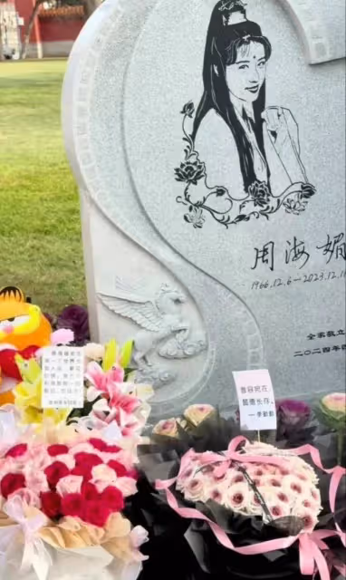 周海媚去世一周年,她的愛寵周六六、周墩墩墓地看望媽媽引人淚目
