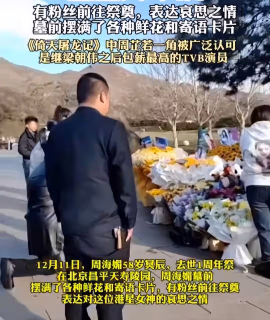 周海媚去世一周年,墓碑前擺滿了鮮花,墓地已成一片花海