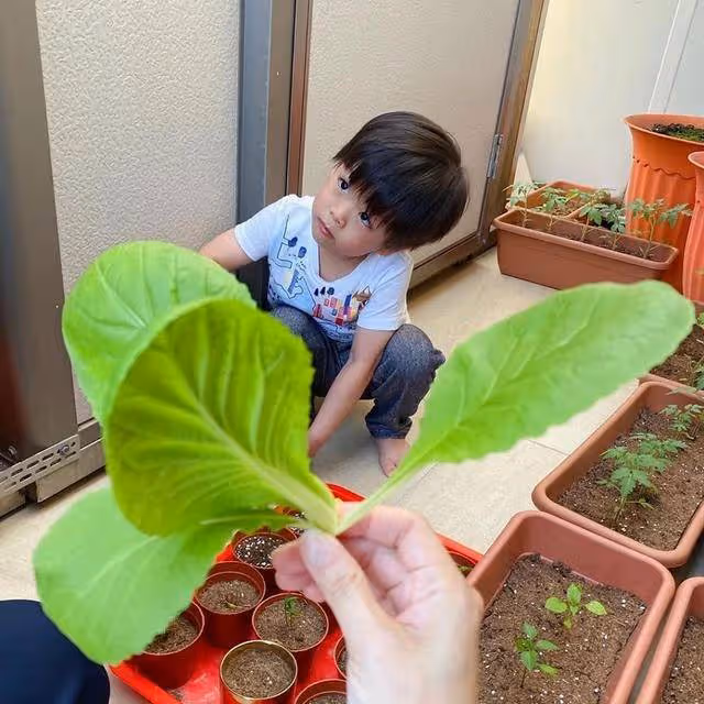 TVB小生為幼子慶祝3歲生日,大兒子全程貼心服務,兩兄弟太相像