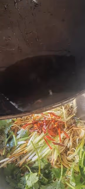 油淋干豆腐