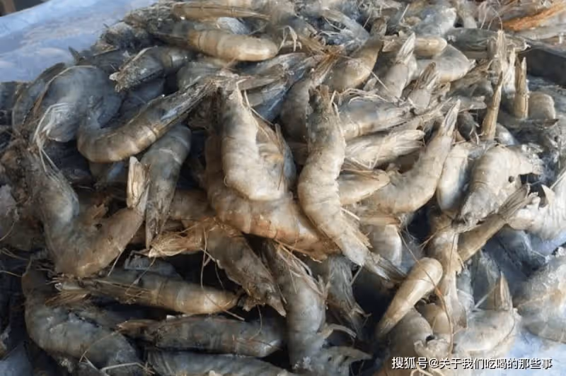 買大蝦時,別只挑大個的!記住「3買3不買」,好蝦一挑一個準