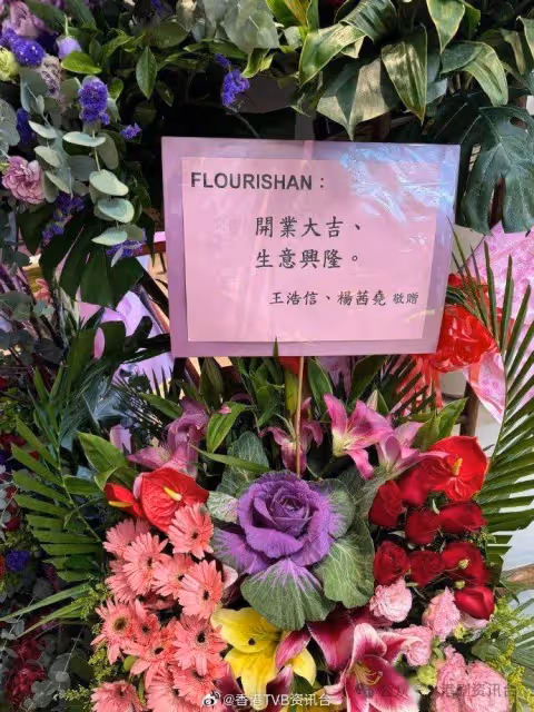 林峯與太太張馨月激罕孖住現身!林夏薇新舖開張送「驚人厚禮」予賓客