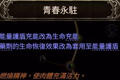 《流放之路2》純毒追獵者BD分享