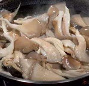 胡蘿蔔青椒、平菇炒雞蛋