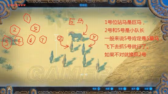 《荒野之息》馬匹捕捉方法