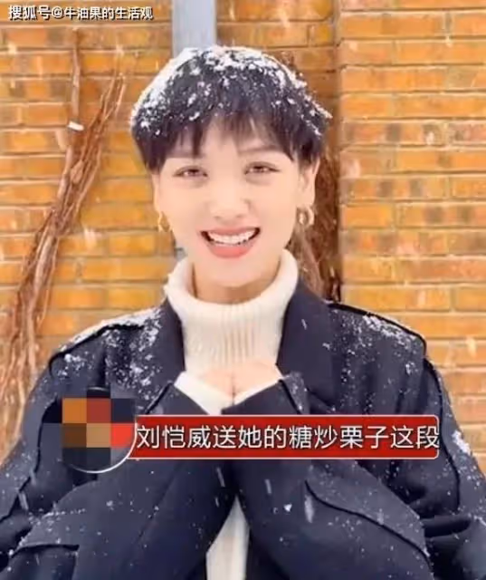 劉愷威李曉峰分手,父親劉丹說兒子沒女朋友,新戀情是假消息