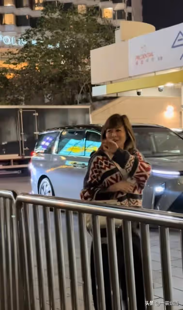 關之琳觀看劉德華演唱會,坐在劉向慧邊上,進出工作人員專門通道