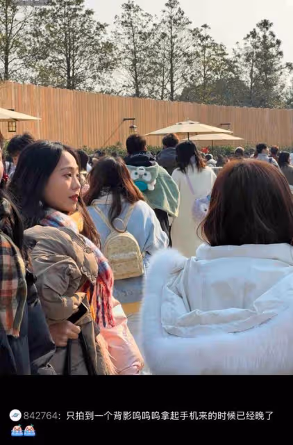 為愛扮萌太好嗑！王昶錢天一迪斯尼被偶遇！網友：土土的甜好上頭