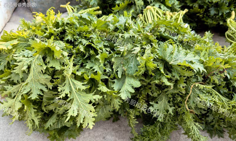 冬天,吃菠菜芹菜不如吃它,大量上市!全身是寶,鮮嫩營養又便宜