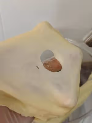 腸仔包 簡單好做