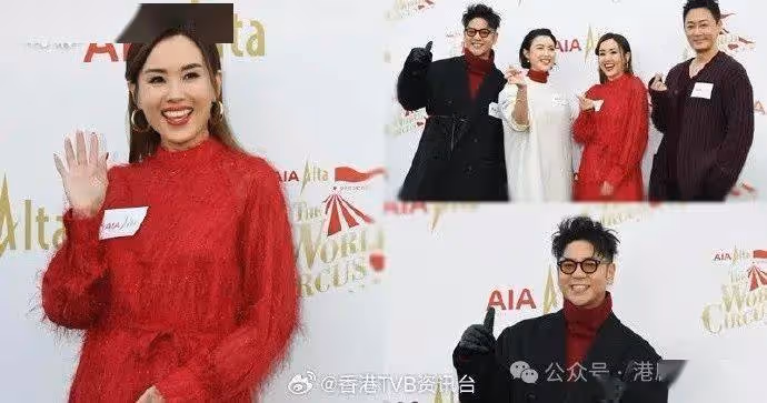 林峯預告偕妻女外游滑雪!陳茵媺留港煮大餐賀聖誕