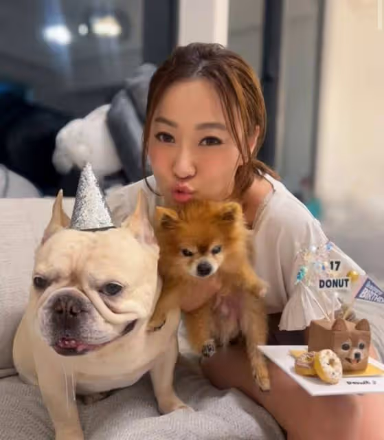心疼!前TVB女星痛失17歲愛犬崩潰大哭,前任不避嫌留言暖心安慰