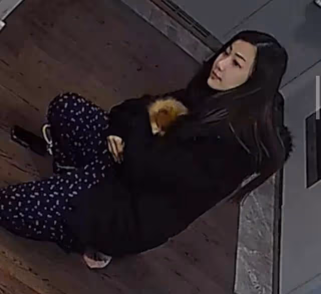 心疼!前TVB女星痛失17歲愛犬崩潰大哭,前任不避嫌留言暖心安慰