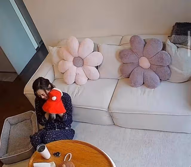 心疼!前TVB女星痛失17歲愛犬崩潰大哭,前任不避嫌留言暖心安慰
