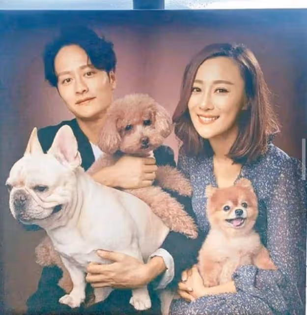心疼!前TVB女星痛失17歲愛犬崩潰大哭,前任不避嫌留言暖心安慰