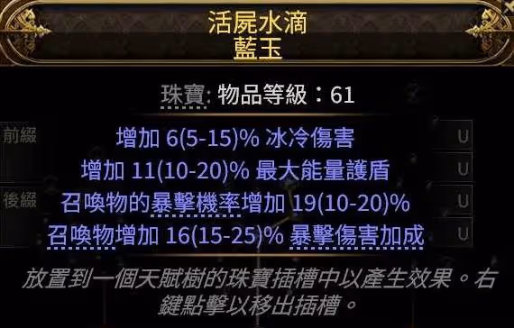 《流放之路2》獄術士冰召喚Build攻略