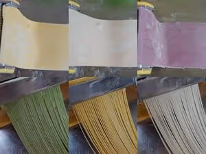 純天然五彩蔬菜麵條