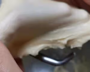 蛋糕一樣的麵包【小朋友的摯愛】