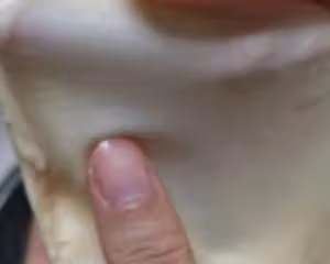 蛋糕一樣的麵包【小朋友的摯愛】