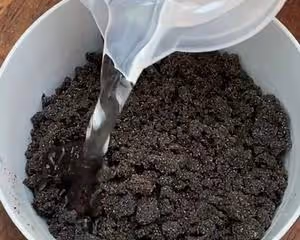 紅糖大棗開花饅頭 零失敗的方子 蓬鬆煊軟 保證各個開花 附細節視頻詳解