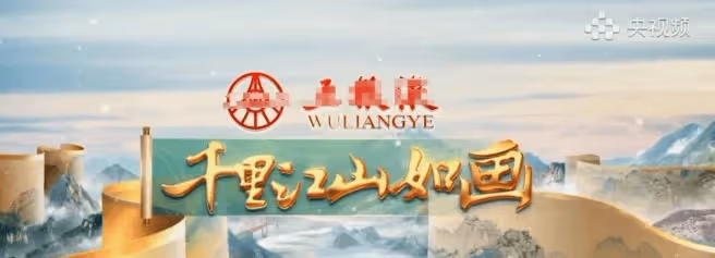 倪萍再次現身央視,這次和張韜搭檔主持大型晚會,你猜會擦出什麼火花?