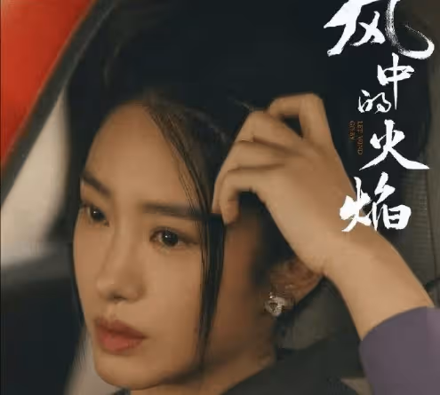 《風中的火焰》人物關係梳理,劉白梅葦雷富貴十年後形同陌路