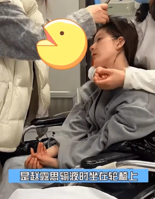 趙露思坐輪椅鼻子插管救治曝光!慘遭職場霸凌導致抑鬱症