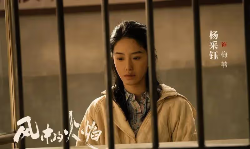 追《大奉打更人》《風中的火焰》發現演技無法比較,優劣一目了然