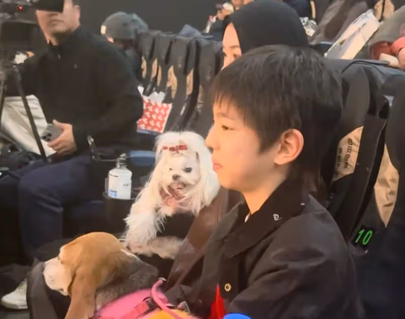 杜江霍一家五口參加活動!霍思燕戴黑色頭巾太奇怪,珍珠緊張搶戲