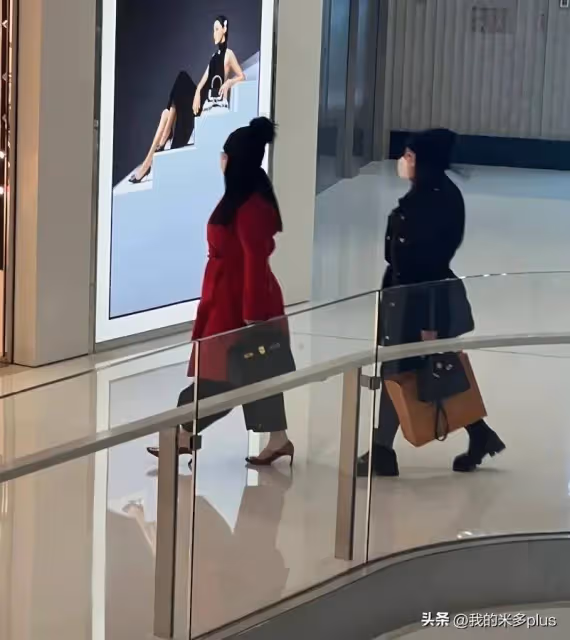 李湘現身長沙高奢商場,胖成H型沒有腰,王詩齡又買LV真能花錢