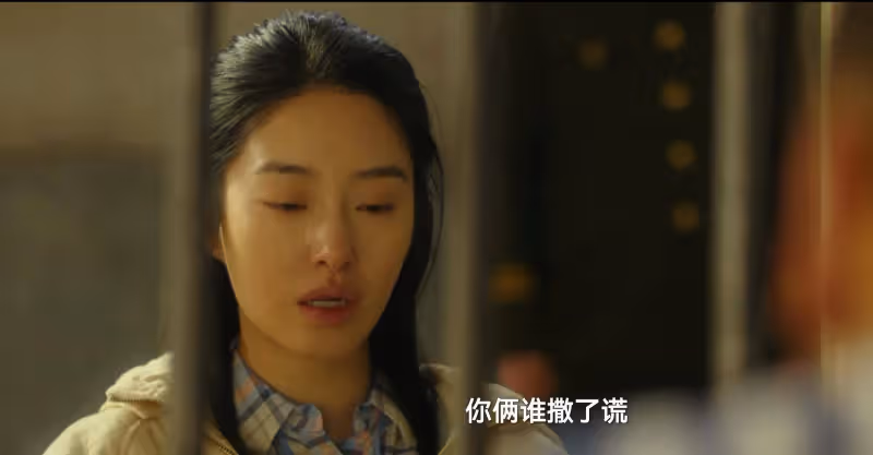 《風中的火焰》:從雷富貴下線,才明白梅葦說了多大的謊