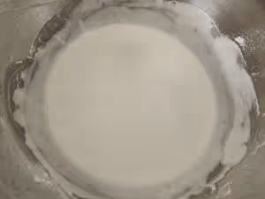 廣式蘿蔔糕