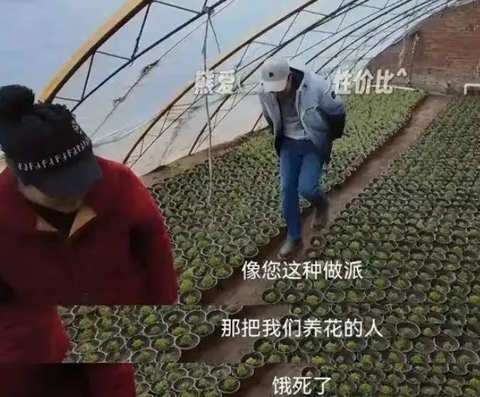 張頌文被稅務部門約談爹味發言被扒！女演員罵他家暴劈腿