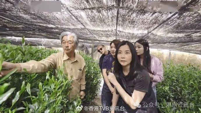 鄭伊健甜蜜曝光蒙嘉慧馭夫術 罕發表愛妻宣言公開相處點滴