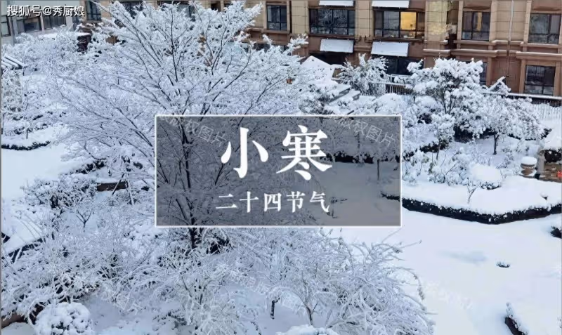 「小寒不養陽,一年都白忙」,1月5日小寒,再忙別忘吃3樣,做3事