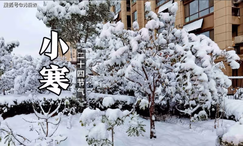 「小寒不養陽,一年都白忙」,1月5日小寒,再忙別忘吃3樣,做3事