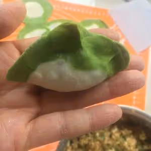 翡翠白菜餃子大全(附手法視頻)