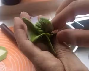 翡翠白菜餃子大全(附手法視頻)