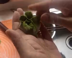 翡翠白菜餃子大全(附手法視頻)