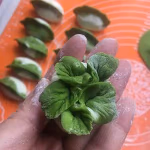 翡翠白菜餃子大全(附手法視頻)