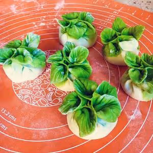 翡翠白菜餃子大全(附手法視頻)