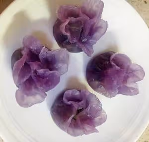 翡翠白菜餃子大全(附手法視頻)