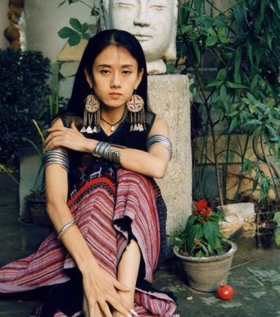 與楊麗萍離婚多年後，前夫劉淳晴毅然回到身邊，無兒無女也無妨