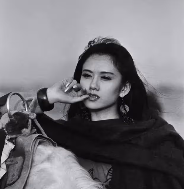 與楊麗萍離婚多年後，前夫劉淳晴毅然回到身邊，無兒無女也無妨