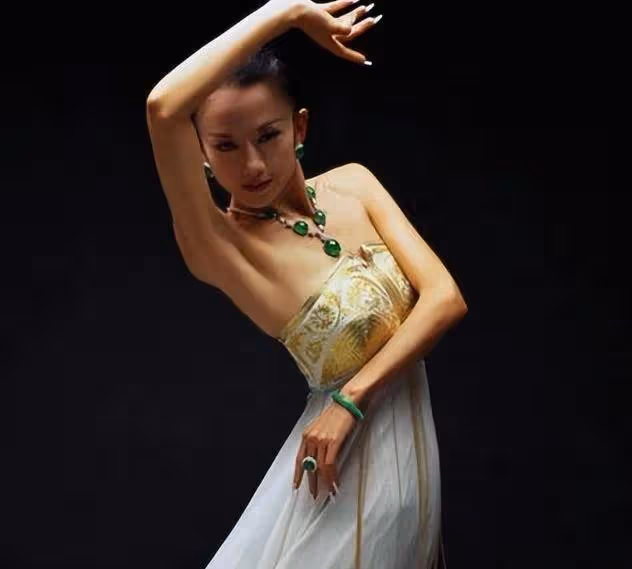 與楊麗萍離婚多年後，前夫劉淳晴毅然回到身邊，無兒無女也無妨