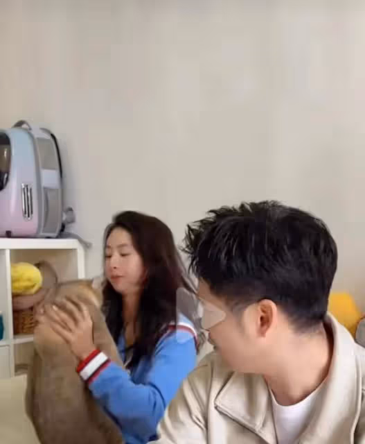 森蝶下巴後縮嚴重,田亮和葉一茜被指不稱職!網友:為何早不行動