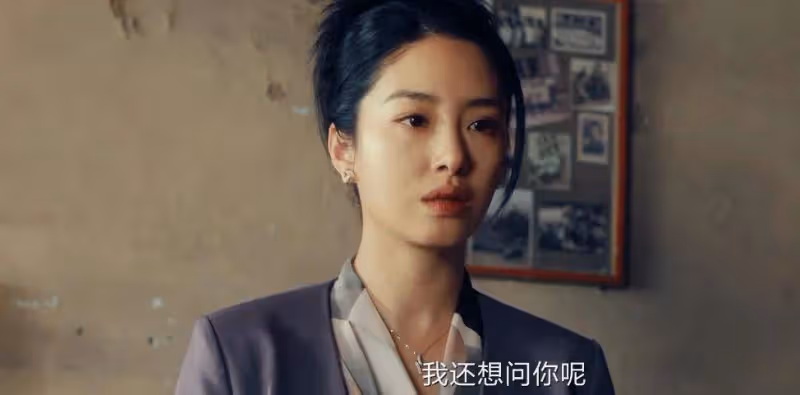 《風中的火焰》大結局:梅葦落網,原來,蘇廣林才是所有事情的源頭