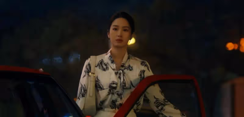 《風中的火焰》大結局:梅葦落網,原來,蘇廣林才是所有事情的源頭